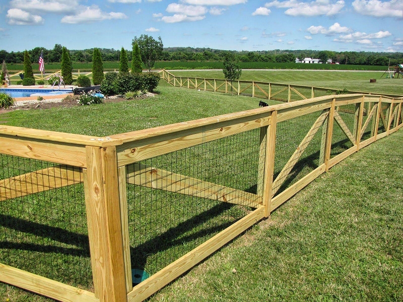 Fencing yard outlet for dogs